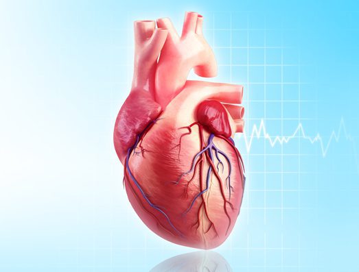 carolina-cardiology-associates-general-cardiology