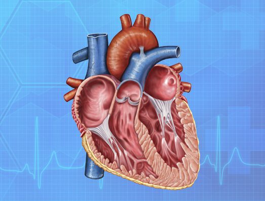 carolina-cardiology-associates-valvular-disease